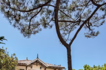 Au Cap Ferret, une maison de vacances tel un refuge d'été