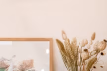 alinea collection été 24 découverte pacte marius