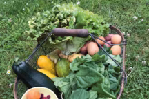 Faut-il avoir un potager bio ?