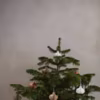 Voici 15 inspirations déco pour un petit sapin de Noël