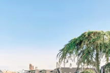 Comment aménager une terrasse en petit jardin de rêve ?