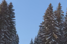 Les adresses de Côté Est à Combloux, la destination familiale par excellence