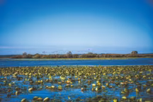 Les recettes du chef du restaurant nantais LuluRouget, entre terre et mer
