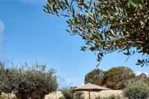 30 photos de beaux jardins pour inspirer le vôtre