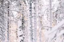 Passez un week-end plein de charme à la montagne