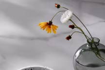 DIY en ciment : laissez parler l'imagination avec ces 10 idées créatives