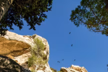L'Étoile des Baux : un refuge minéral pour se ressourcer et se réinventer