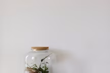 15 idées de terrariums : un écosystème miniature à portée de main