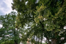 Une terrasse secondaire, plus éloignée de l'habitation, permet de faire vivre le jardin.