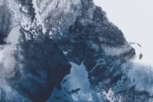 Coral reef with red gorgonian, Paramuricea clavata, monotype d'Aurore de la Morinerie, une plongée au plus près de la barrière de corail et de la gorgone rouge, une espèce endémique de la mer Méditerranée. Le processus créatif derrière chaque œuvre combine deux techniques artistiques. D'abord, le dessin des fonds est transféré sur une plaque de cuivre appelée héliogravure, puis imprimé à la main dans l'atelier de l'artiste sur une presse de gravure. Ensuite, au pinceau et à l'encre, elle peint le vivant, comme les plantes ou les poissons.