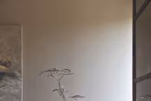 Le Niwaki, 80 x 50 x 40 cm, inox sur socle en pin douglas. L'art traditionnel japonais.