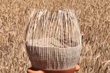 Certaines de ses têtes siciliennes mêlent céramique et vannerie. Deux matières naturelles qui se marient harmonieusement pour donner vie à des sculptures authentiques et délicates.