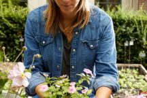 Une plante en pot nécessite un terreau contenant de la tourbe... ou plutôt de la fibre de bois ! Copyright Gamm vert.