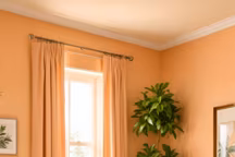 La couleur abricot est sans conteste celle de l'automne