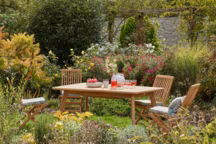 8 bonnes raisons de ne plus tondre sa pelouse