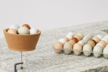 Le marbre ose la couleur en 2024 !