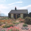 En Angleterre aussi, dans le Kent, le cinéaste Derek Jarman a soigné le jardin de son Prospect Cottage : il y voit une " pharmacopée », ici en 1986.