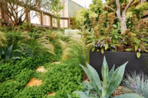 «Les végétaux, c’est comme les enfants, plus on s’en occupe, mieux c’est !», confie César Saint Ouen.