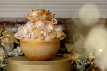 Noël 2025 : 15 bûches de pâtissiers qui changent de l’ordinaire.