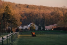 Le Barn, le refuge inspiré du Midwest américain qui réinvente la campagne.